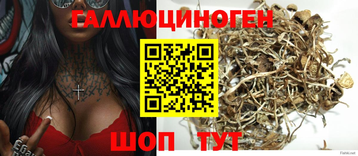 Псилоцибиновые грибы MAGIC MUSHROOMS Ханты-Мансийск