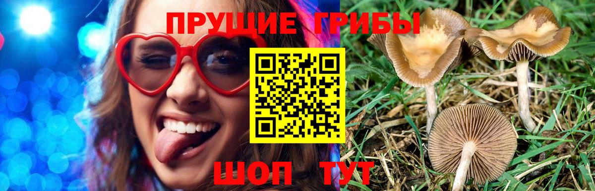 Ханты-Мансийск  купить наркотики сайты  Вход с VPN  Галлюциногенные грибы мухоморы 
